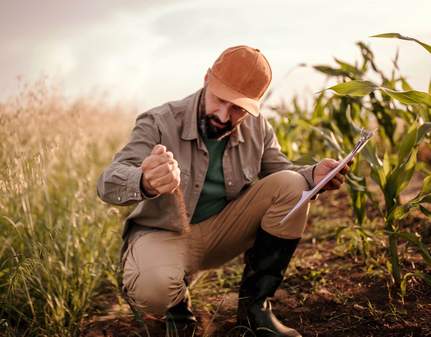 Como A Agronomia Se Tornou Uma Das Profissões Mais Promissoras No Brasil — Fimca Centro 9464